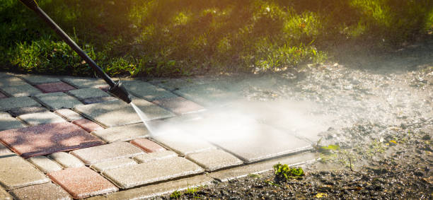 Best Fence Cleaning and Maintenance in Redwood Falls, MN